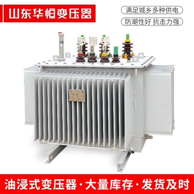 S13-10000/35沧源沧源沧源电力变压器