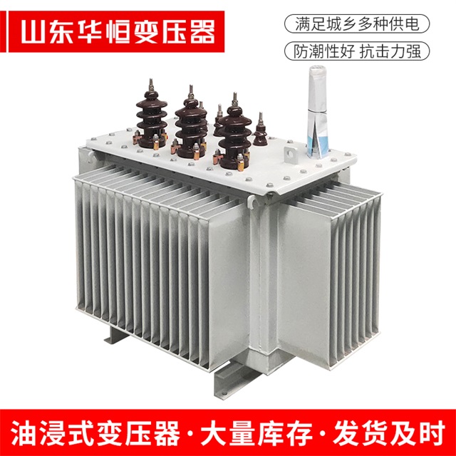 S13-10000/35沧源沧源沧源油浸式变压器厂家